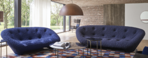 Ligne Roset